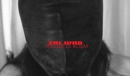 国产bdsm,情感与束缚的交融之旅